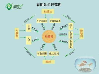 一張圖搞懂硅藻泥到底是什么