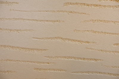 硅藻泥紋理的藝術與應用